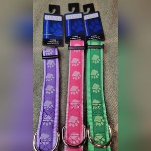 Casual Canine pawprint collar